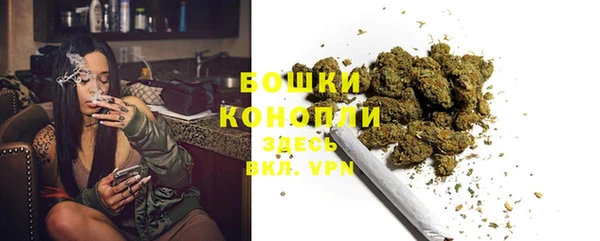 мдпв Богородск