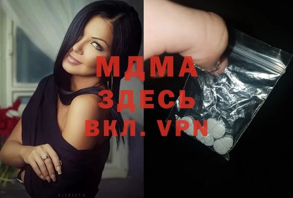 стаф Бородино