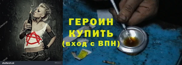 гидра Богородицк