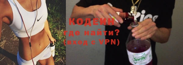 гидра Богородицк