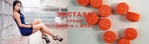 гидра Богородицк
