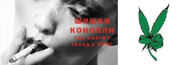 стаф Бородино