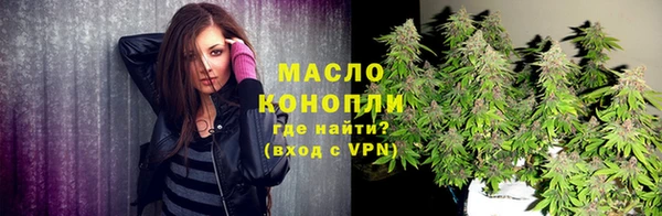гидра Богородицк