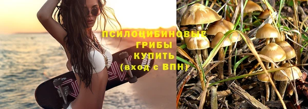 гидра Богородицк