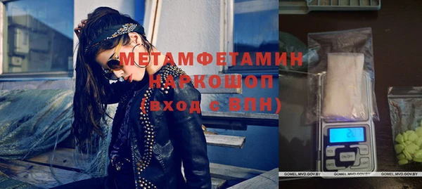 гидра Богородицк
