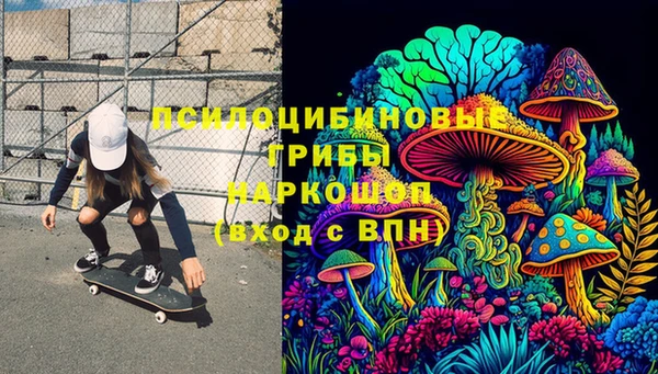 мдпв Богородск