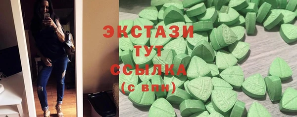 гидра Богородицк
