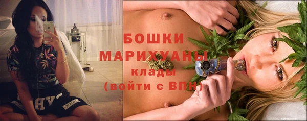 мдпв Богородск