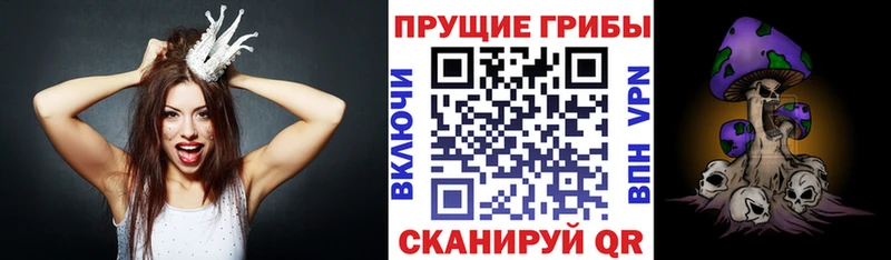 Галлюциногенные грибы Psilocybine cubensis  Новое Девяткино 