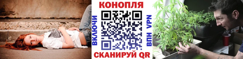 Каннабис план  Новое Девяткино 